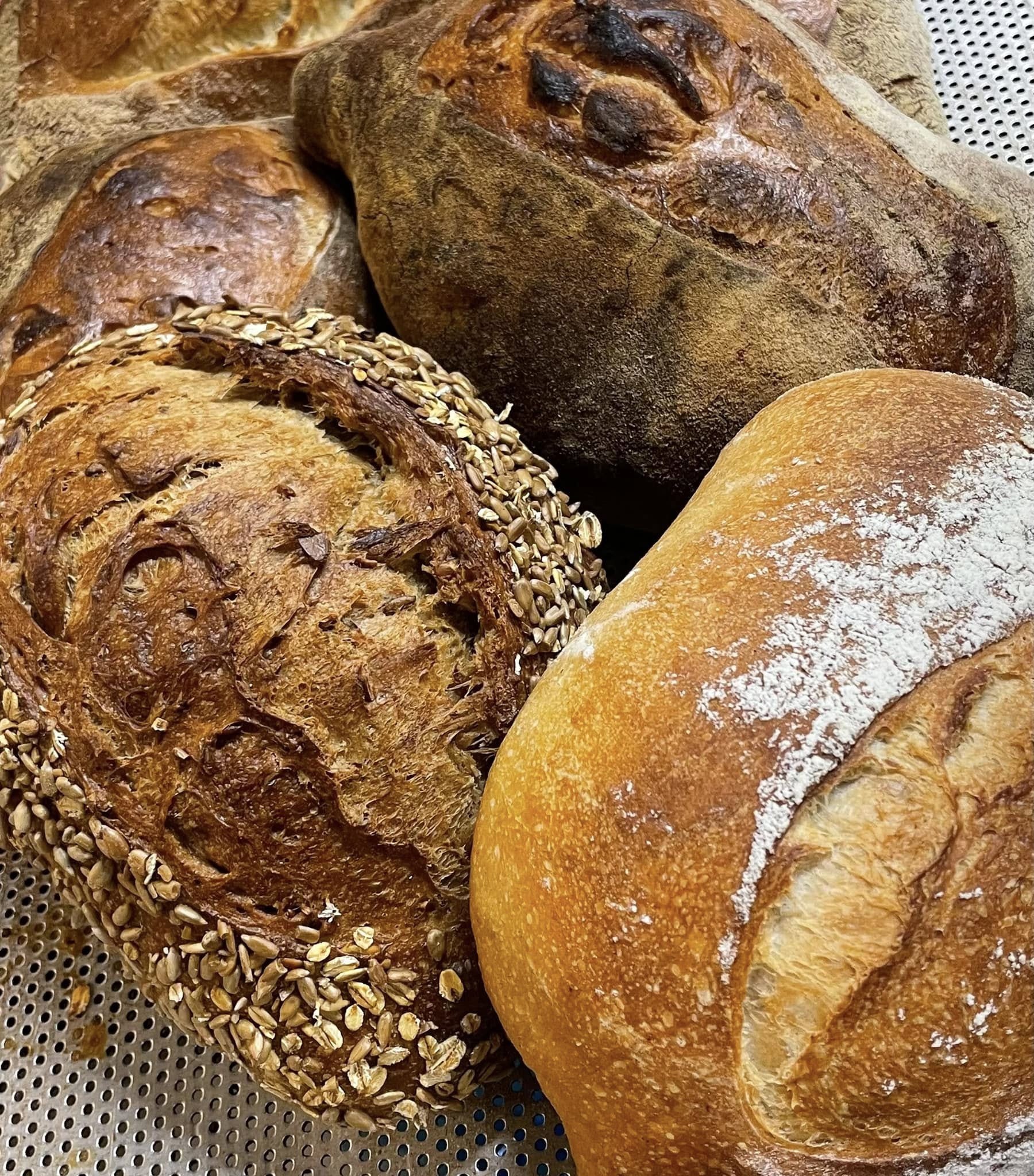 Udvalg af brød, boller og wienerbrød fra Wiuff Bageri